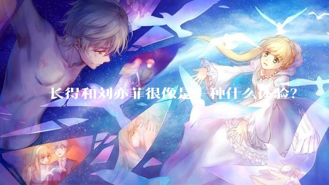 长得和刘亦菲很像是一种什么体验？