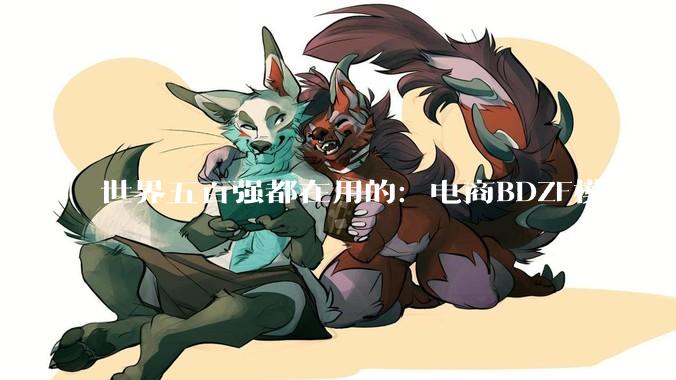 世界五百强都在用的：电商BDZF模型 - *