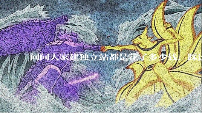 问问大家建独立站都是花了多少钱，踩过哪些坑？