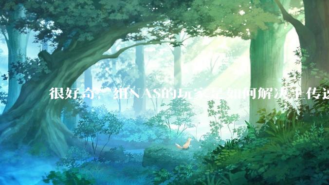 很好奇，组NAS的玩家是如何解决上传速率的问题?